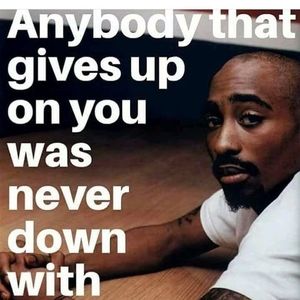 Meet your Posher, Teddy